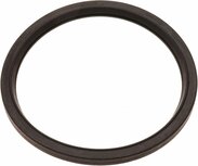 12551507 | Engine Coolant Thermostat O-Ring Seal