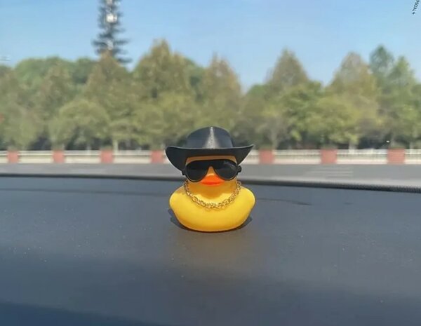 DD003 | Dashboard Cowboy Duck